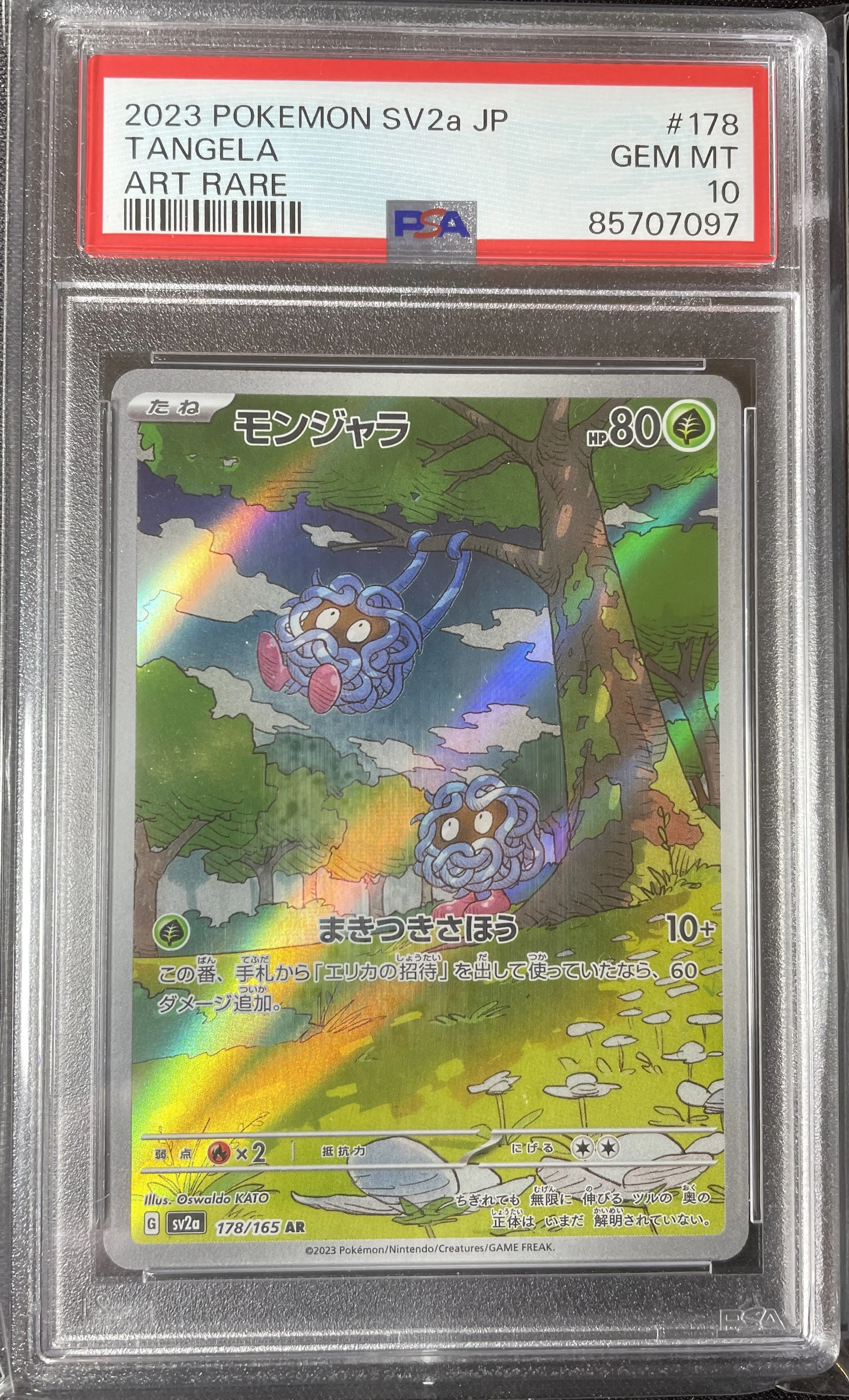 Product image of Pokemon Graded Tangela (sv2a 178) - PSA 10 - 1